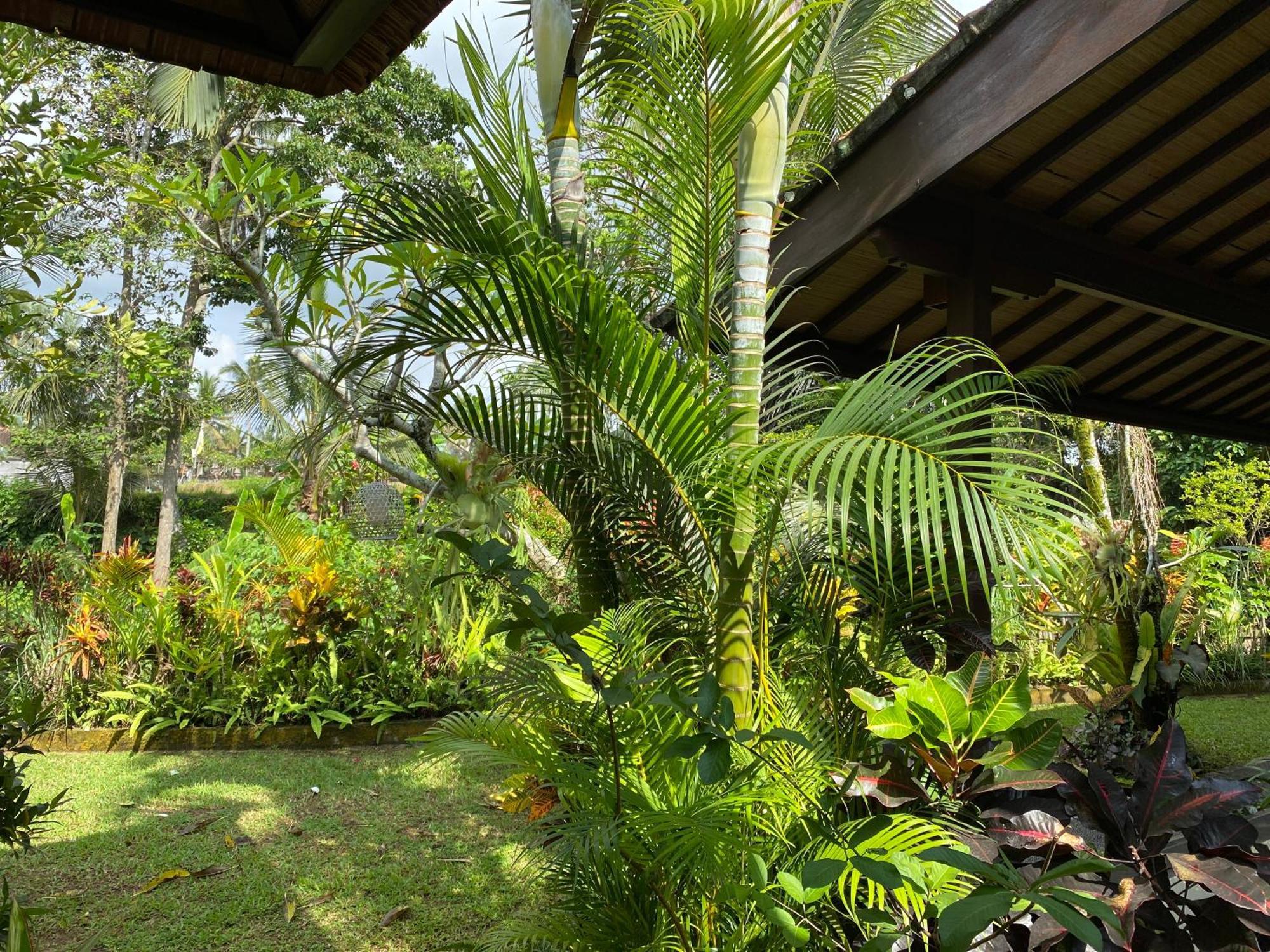 Villa Alam Surya Ubud Bagian luar foto
