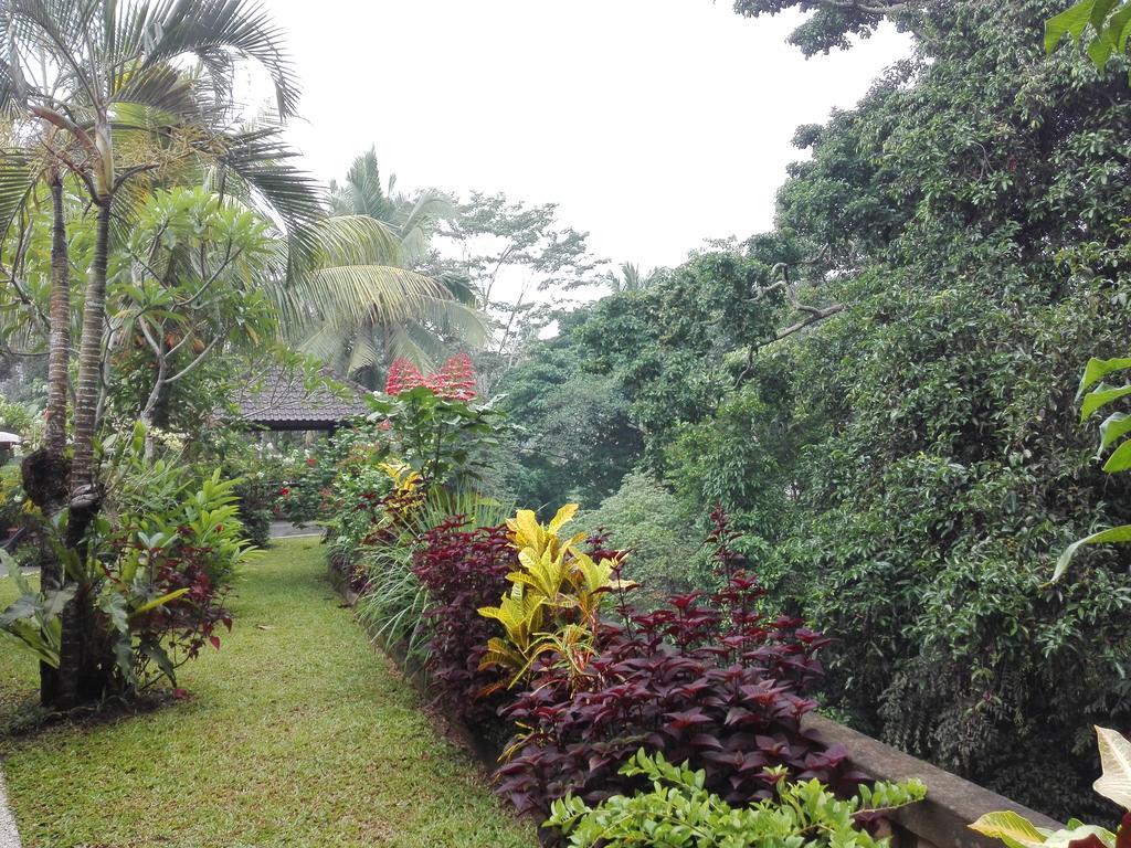 Villa Alam Surya Ubud Bagian luar foto