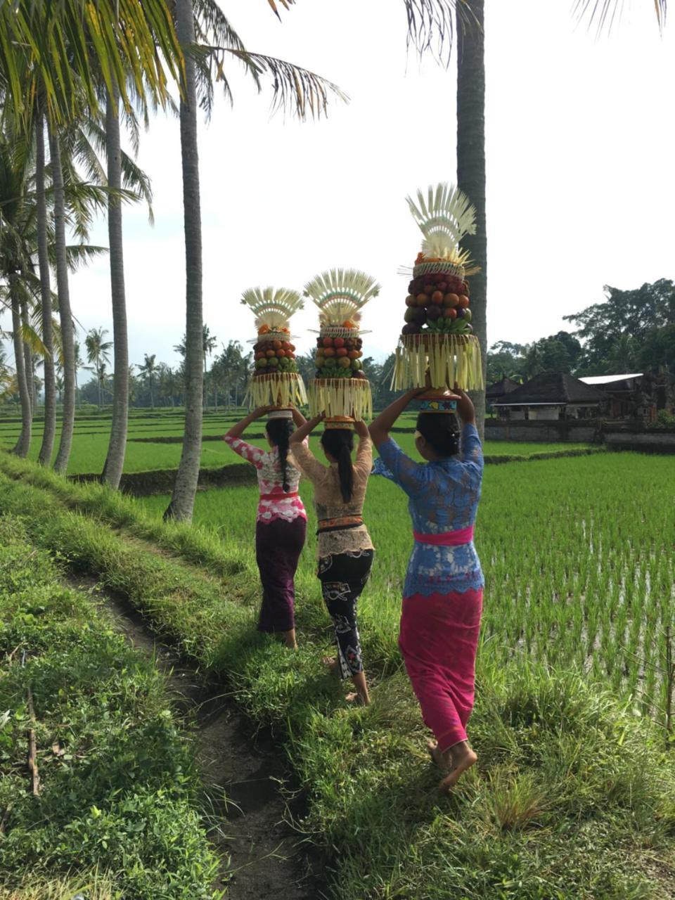 Villa Alam Surya Ubud Bagian luar foto